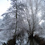 20091213_5051.JPG