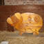 20100720_6589.JPG