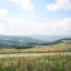 20100719_6340.JPG