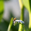 20100719_6351.JPG
