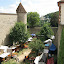 20100730_6766.JPG