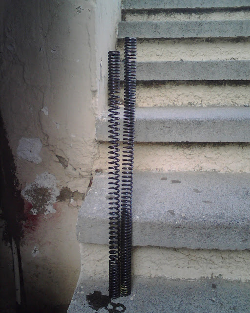 IMG01229.jpg