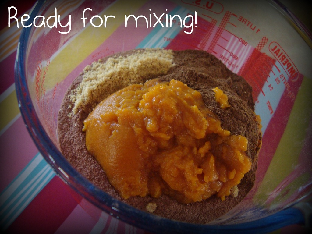 [ready for mixing_brownies[4].jpg]