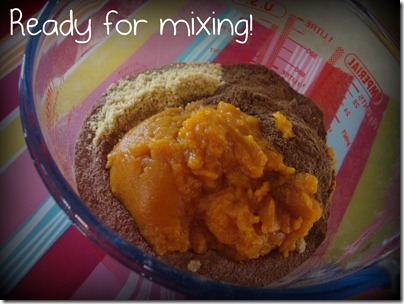 ready for mixing_brownies
