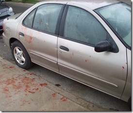 car blood
