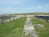 P1010339.JPG