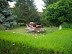cocosu_0001.JPG