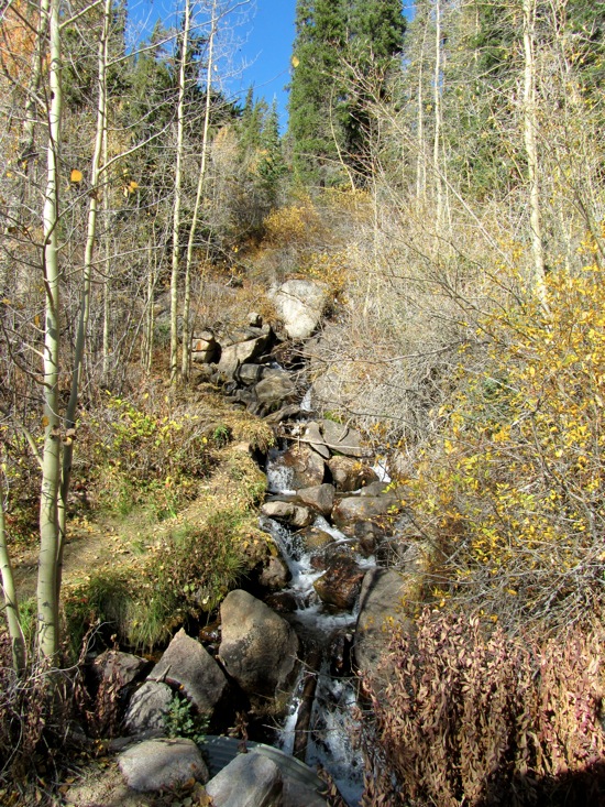 IMG_1037.jpg stream weston pass colorado