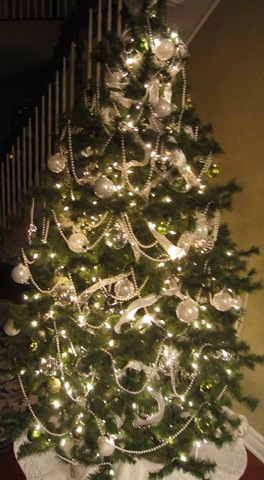 [IMG_30332.jpg]
