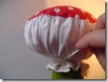 fungo blisscocotte