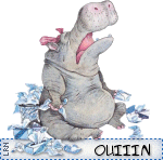 ouinhippo
