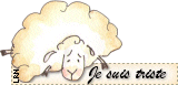 moutontriste