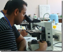 A trainee examines pathogens during the practical on disease prevention and control