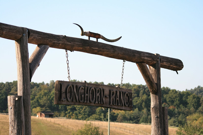 Longhorn-Ranch