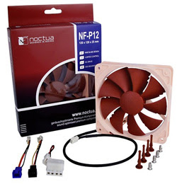 Noctua