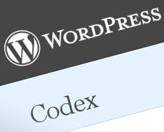 Условные операторы wordpress