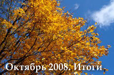 результаты блога, октябрь 2008