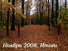 итоги блога ноябрь 2008