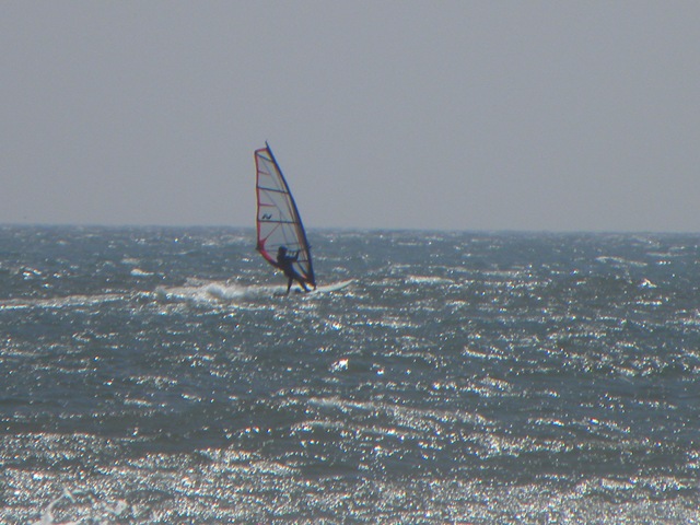 [windsurfer[2].jpg]