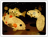 [Exhibition of Traditional Lanterns Bongeunsa Temple 01[3].gif]
