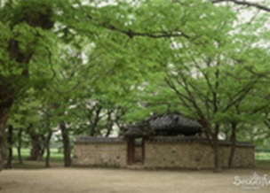 Gyeongju Kyerim (Forest)