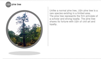 Uljin Pine Tree