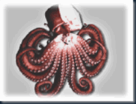 Uljin Cham octopus