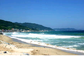 Yeongdeok Baekseok Swimming Beach