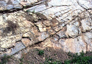 Uiseong Fossilized dinosaurs footprint of Jeo ri 02,
