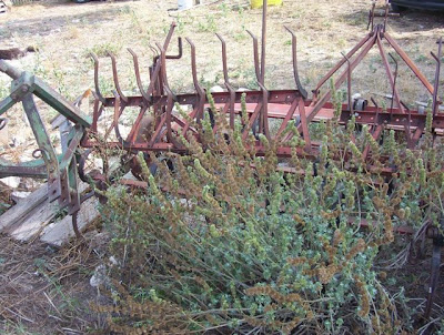 Manfredonia, Attrezzi agricoli