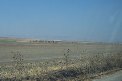 Manfredonia, Paesaggio di pianura in estate