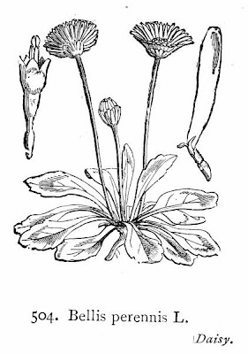 Tausendsch�n