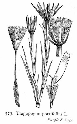 Baramonjin Baramonjin