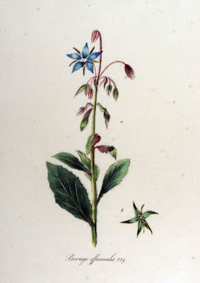 Burrage