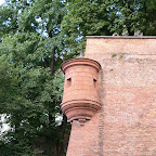 P1000436.JPG