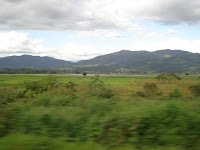 DSC01554.JPG