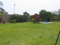 IMG_3741.JPG
