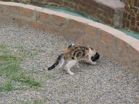 IMG_2628.JPG