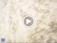 MVI_6253.AVI
