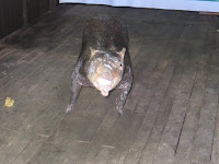 IMG_6673.JPG