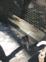 IMG_6446.JPG
