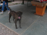 STB_6871.JPG