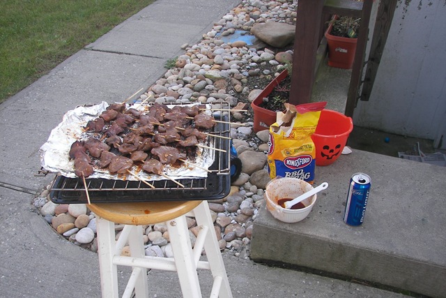 [100_8117[4].jpg]