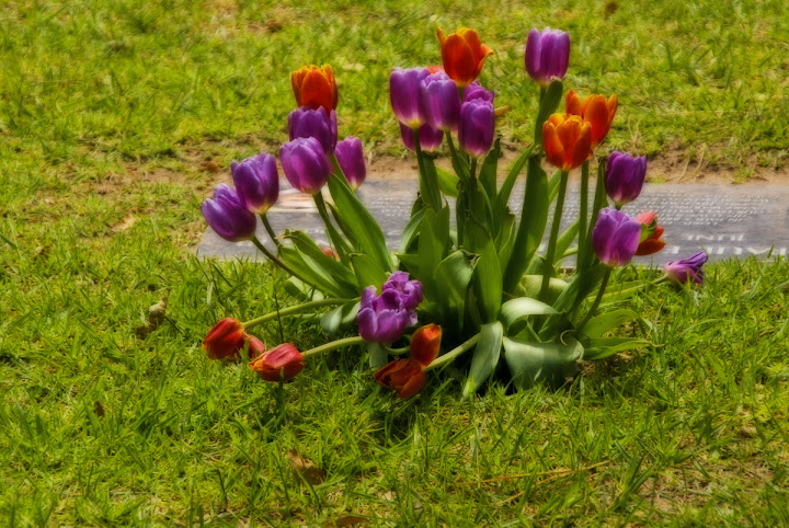 "Flowers On Grave" by Damian Gadal