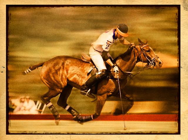 "At Full Gallop" by Robert Rottenberg