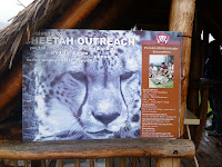 DSC01217.JPG Photo