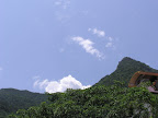 小草地大晴天