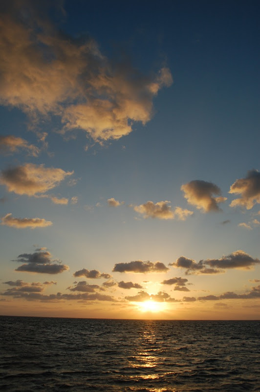CAN YOU BELIZE IT! 1279