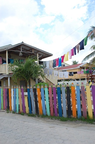 [CAN YOU BELIZE IT! 191[3].jpg]