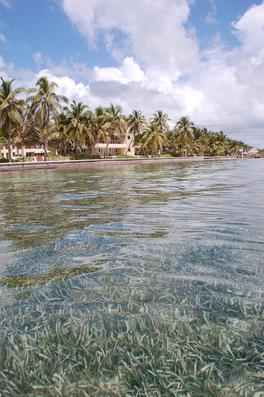 CAN YOU BELIZE IT! 279